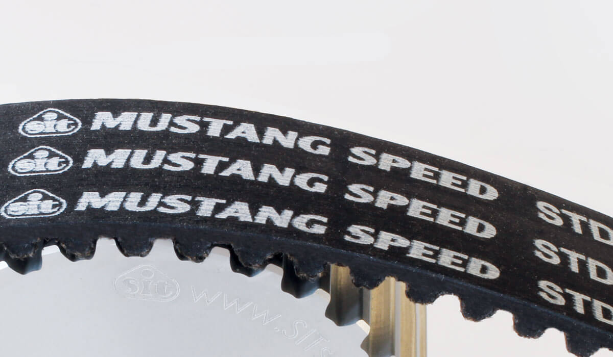 Trasmissione dentata in gomma Sit Mustang Speed STD